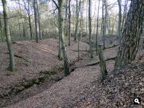 Trage Tocht Kasteel Doorwerth