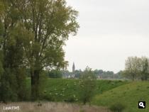 Toren van Millingen