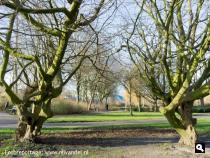 Park Het Groene Hart