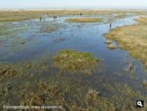 Groene Wissel Stellendam
