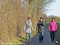 Groene Wissel Stellendam