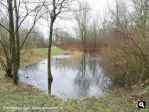 Groene Wissel Arnhem-Zuid