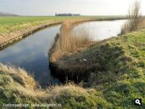 Manezeekreek