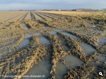Polder Dirksland