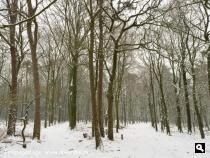 Landgoed Hoekelum