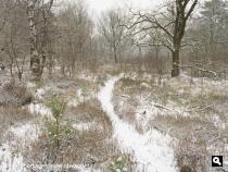 Landgoed Hoekelum