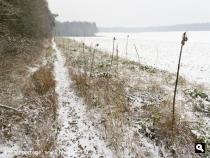 Landgoed Hoekelum
