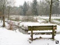 Bosbeek en Paradijsspreng