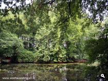 Diepenveen: IJsseldal