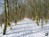 Halfweg, Houtrakpark