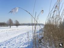 Uiterdijkenpolder