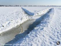 Polder De Lievelden