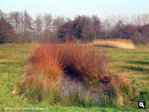 Trage Tocht Aaltense Goor