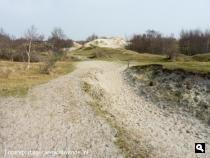 Groene Wissels Groene Wissels