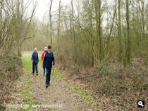 Groene Wissels Groene Wissels