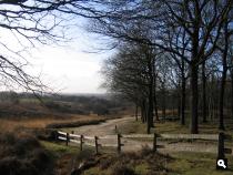 Mookerheide