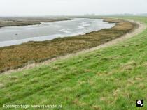Gorzengebied langs de Krabbenkreek