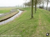  Noorddijk