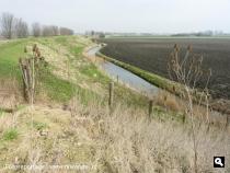 Noorddijk