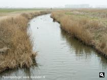Winkelzeesche Watergang