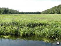 Trage Tocht Engelenburg