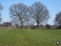 Eesveen