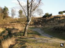 Trage Tocht Kasteel Doorwerth