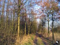Trage Tocht Aaltense Goor