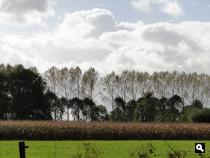 Trage Tocht Aaltense Goor