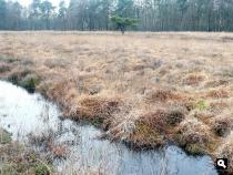 Trage Tocht Twickel