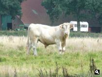 Trage Tocht Bourtange