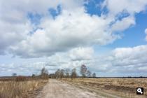 Groene Wissels Groene Wissels