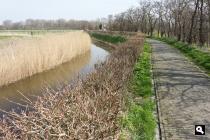 Kalfhoekse Pad