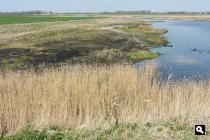Domburgse Watergang