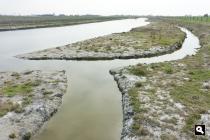 West-Rapenburgse sprink