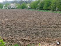 Heggenlandschap IJsseluiterwaarden