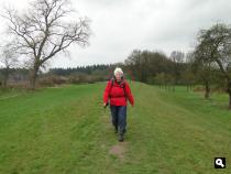 Veluwse bandijk zonder bomen