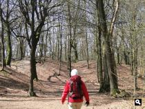 De Duinen