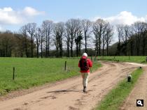 Rotweg