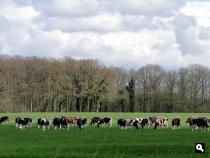 Langs de Rotweg