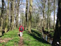 Ratumse beek