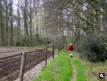 Akkerrrand bij Hesselink