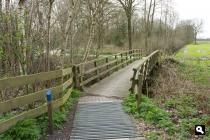 Haskerhorne, Bosweg