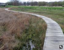Trage Tocht Assen-Westlaren