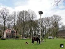 Trage Tocht Assen-Westlaren