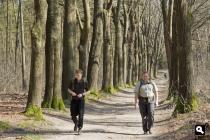 Landgoed Bilderberg, Eikenlaan