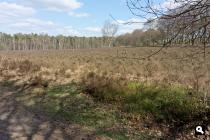 Landgoed Bilderberg, heide