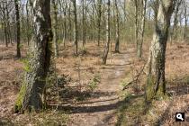Landgoed Hoog Oorsprong