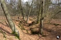Wolfhezerbos, sprengen