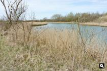 Westkapelse Kreek
